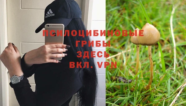 jwh Алексеевка